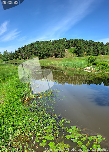 Image of Landscape