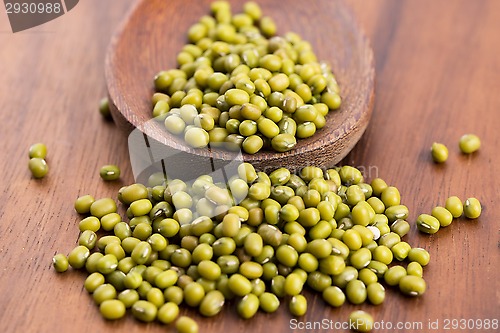 Image of Mung beans over wooden spoon