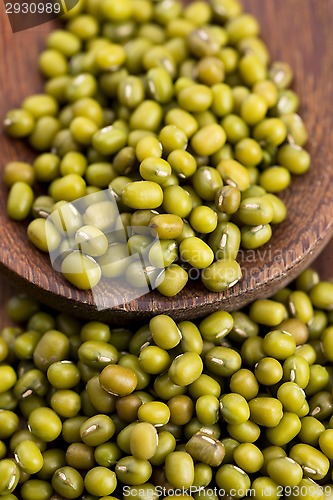 Image of Mung beans over wooden spoon