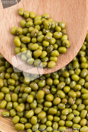 Image of Mung beans over wooden spoon