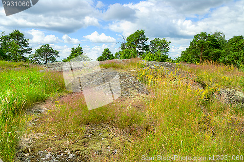 Image of Hill