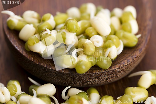 Image of Sprouted mung beans
