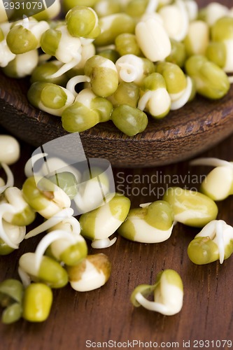 Image of Sprouted mung beans