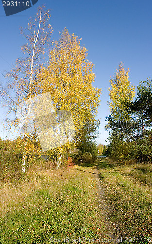 Image of Autumn colors