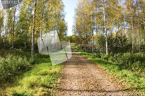Image of Dirt road