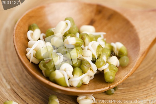 Image of Sprouted mung beans