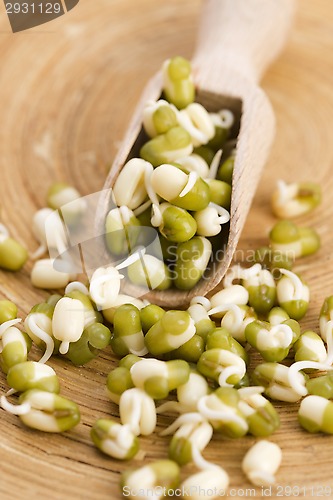 Image of Sprouted mung beans