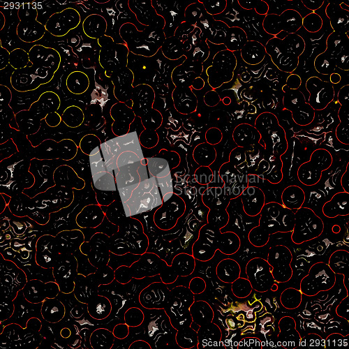 Image of growth of bacteria