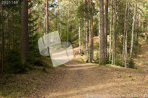 Image of Jogging trail