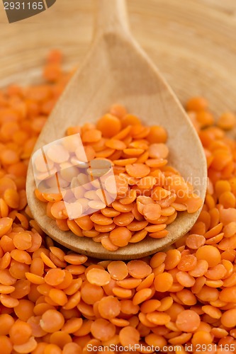 Image of Dry Organic Red Lentils