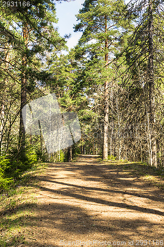 Image of Jogging trail