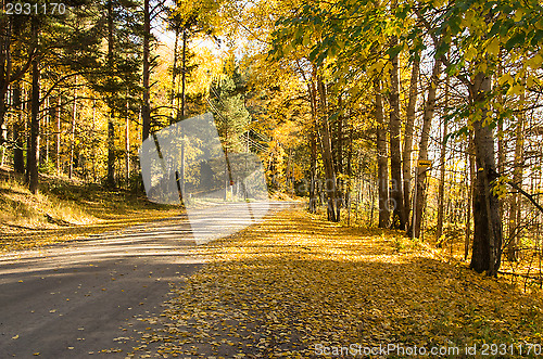 Image of Dirt road