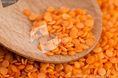 Image of Dry Organic Red Lentils