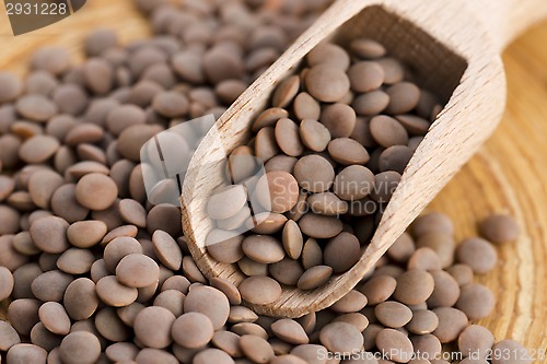 Image of Dry Organic Brown Lentils