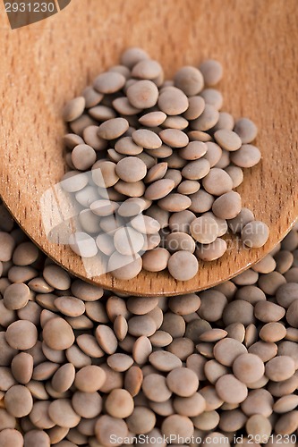 Image of Dry Organic Brown Lentils