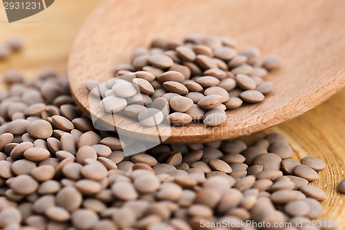 Image of Dry Organic Brown Lentils