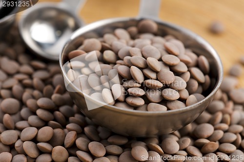 Image of Dry Organic Brown Lentils