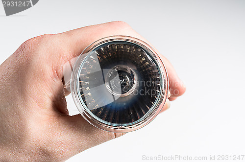 Image of Bulb