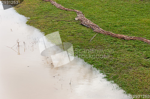 Image of Straws