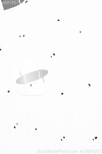 Image of Holes