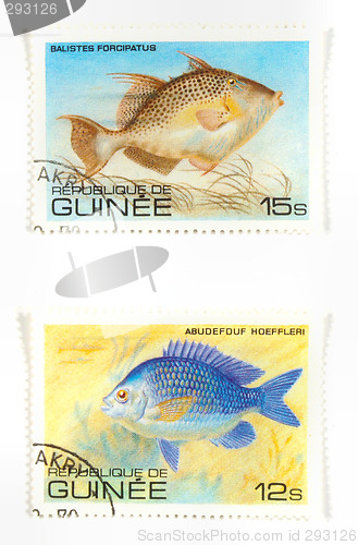 Image of Exotic fish on stamps