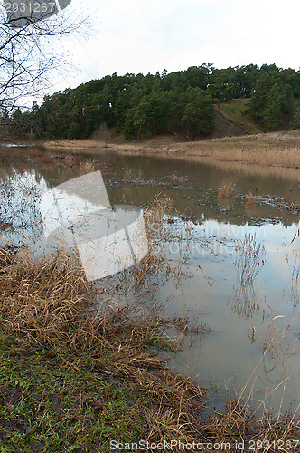 Image of Flood