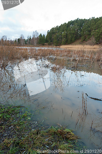 Image of Flood
