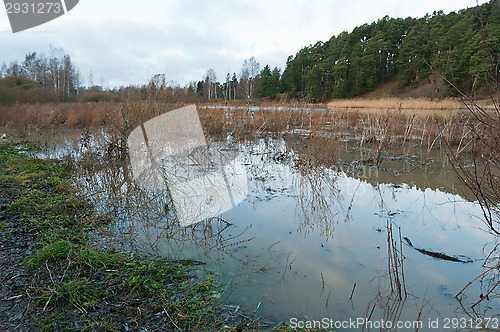 Image of Flood