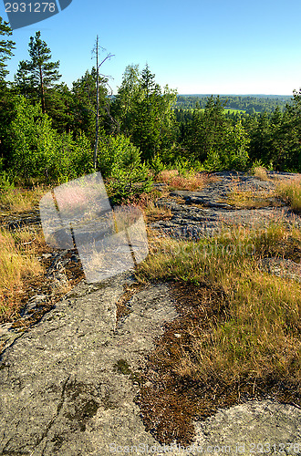Image of Landscape