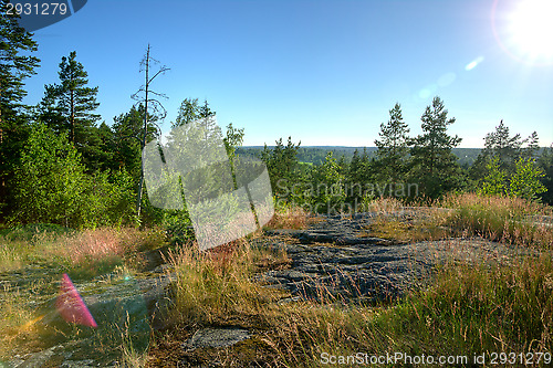 Image of Landscape