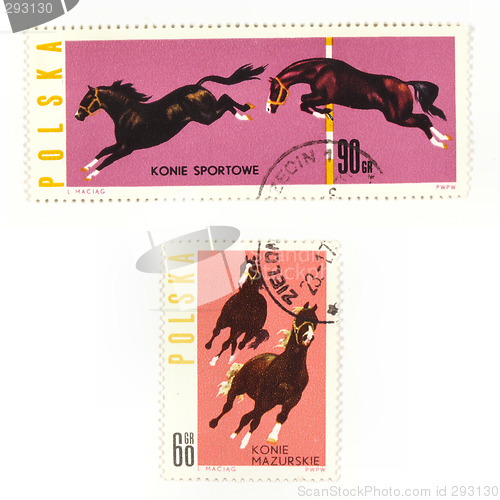 Image of Horses on collectible stamps