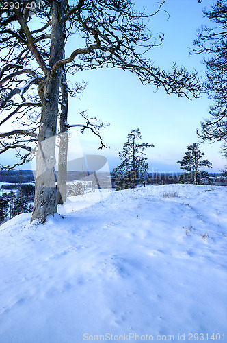 Image of Landscape