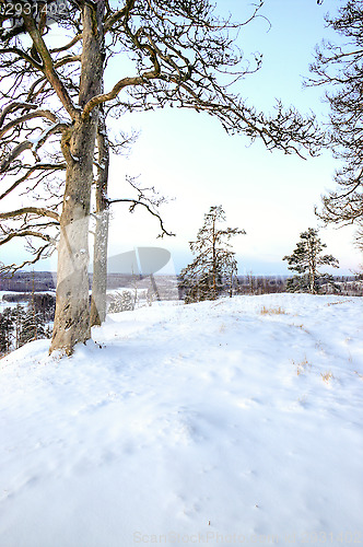 Image of Hill