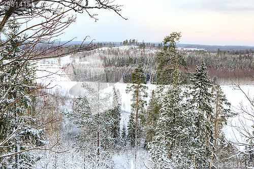 Image of Winter