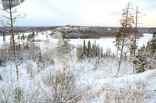 Image of Winter