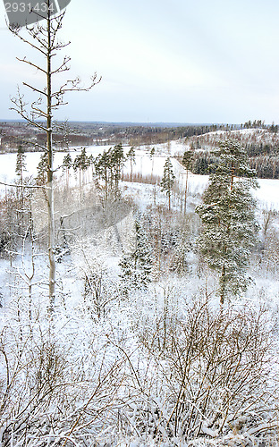 Image of Landscape