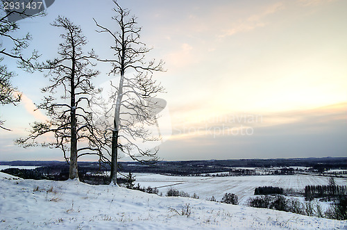 Image of Deadwood