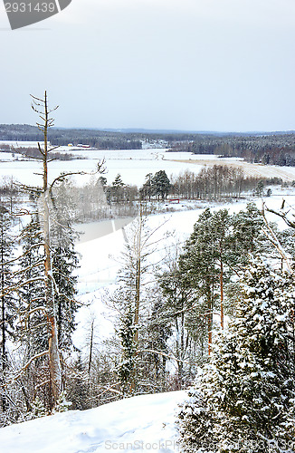 Image of Winter