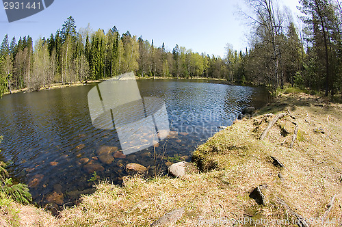 Image of Pond