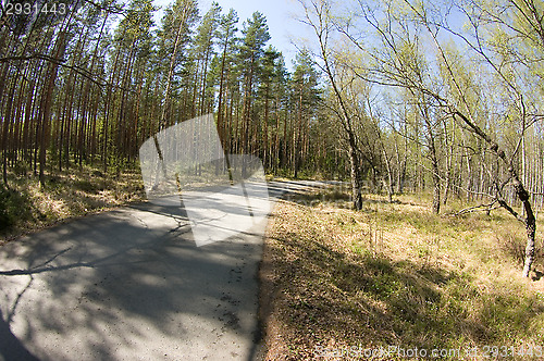 Image of Road