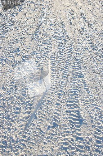 Image of Tracks