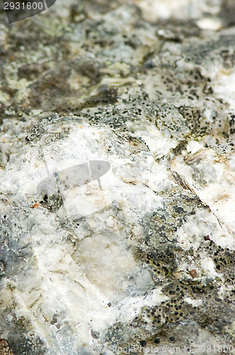 Image of Rock