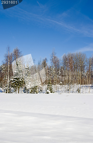 Image of Winter