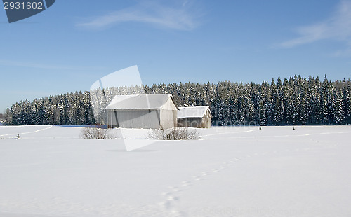 Image of Winter