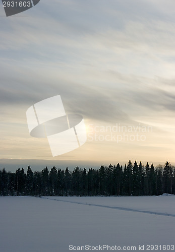 Image of Landscape