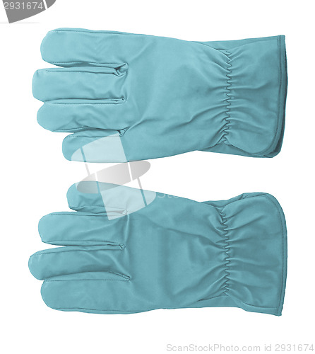 Image of Gloves picture