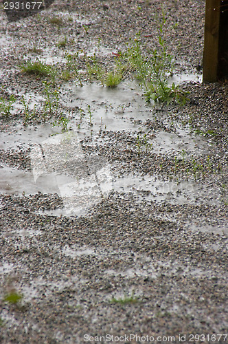 Image of Rain