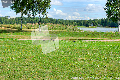 Image of Park