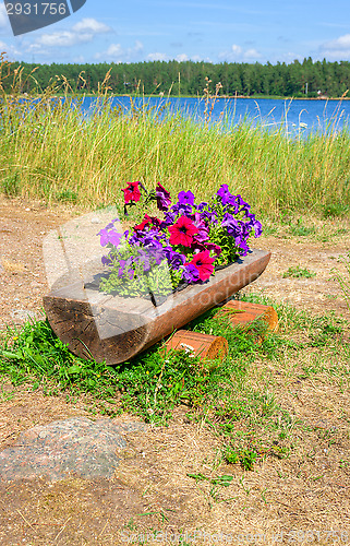 Image of Flower bed