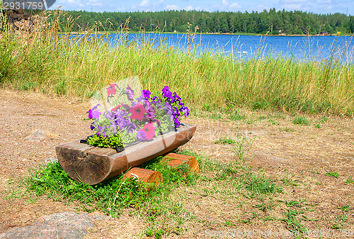 Image of Flower bed